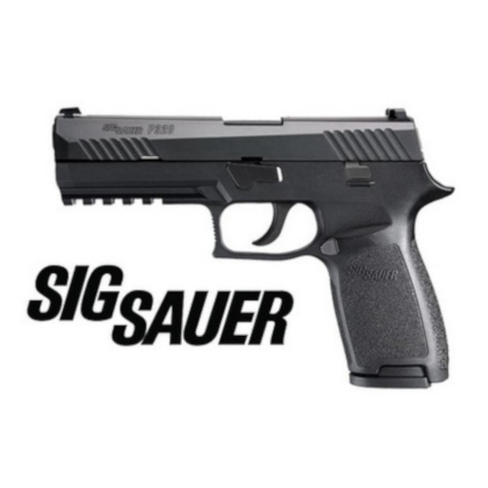 Bullseye North Sig Sauer P Semi Auto Pistol Mm Barrel Nitron